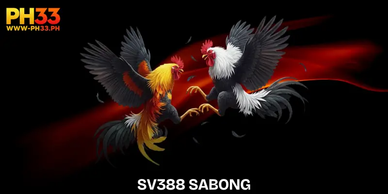 sv388-sabong